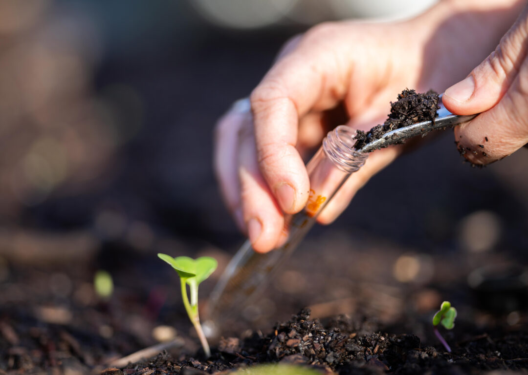 Taking a soil sample for a soil test in a field. Testing carbon sequestration and plant health.